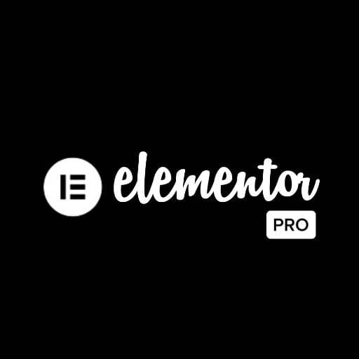 elementor pro parceiro imersão digital curso criação de negocios online presencial